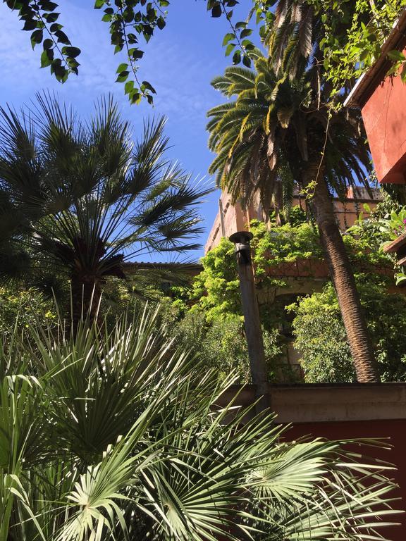 Margutta'S Garden Bed & Breakfast Rome Exterior photo